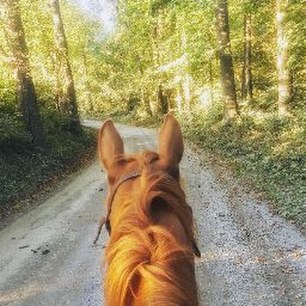 Meet your Posher, Smokina